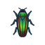 Illustration of the critter Jewel Beetle