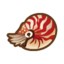 Illustration of the critter Chambered Nautilus