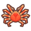 Illustration of the critter Spider Crab